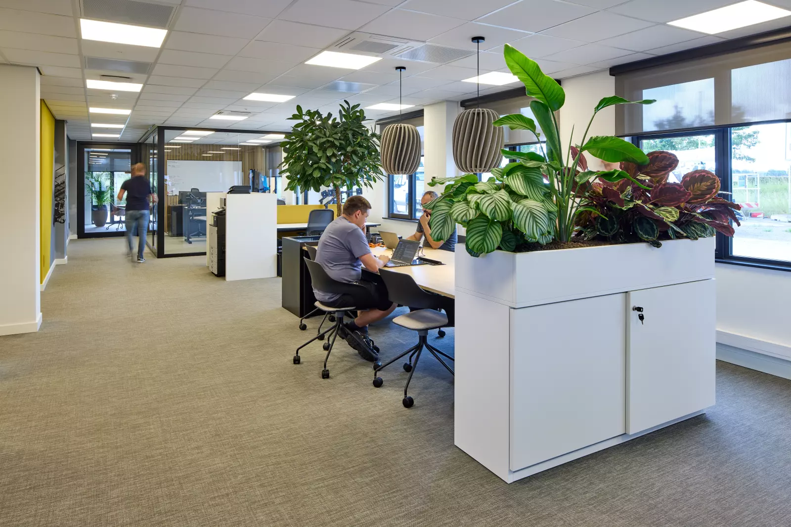 Open-plan office with desks, acoustic screens, natural daylight and plants.